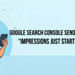 Google Search Console - Error Message